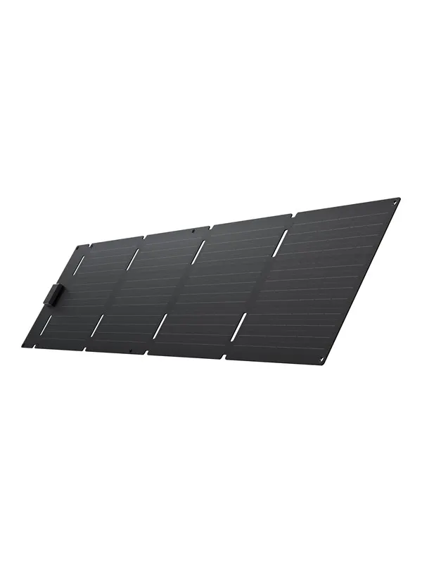 EcoFlow - solar panel - portable - 60 Watt