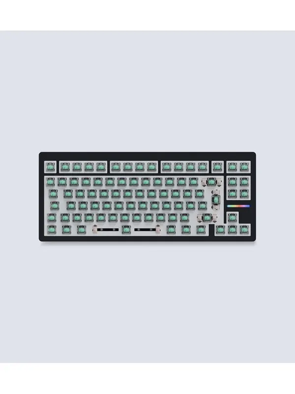 Wooting 80HE - ISO - No Keycaps - Linear60 - Gaming Keyboard - Utan numpad - Universal - Svart