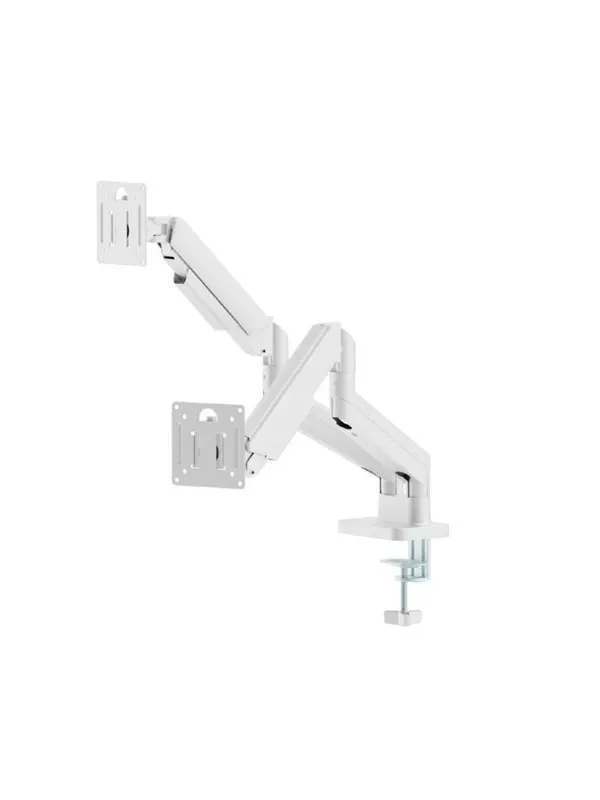 Gembird Desk mounted adjustable double monitor arm 17"-32" - Vit