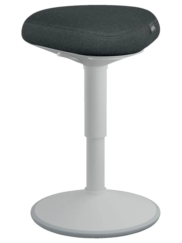 Leitz Ergo Active sittpall med komfortsäte, grå
