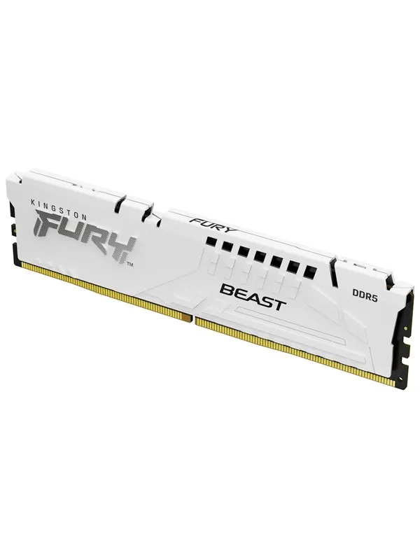 Kingston FURY Beast DDR5-6000 - 16GB - CL36 - Single Channel (1 pcs) - AMD EXPO - Vit