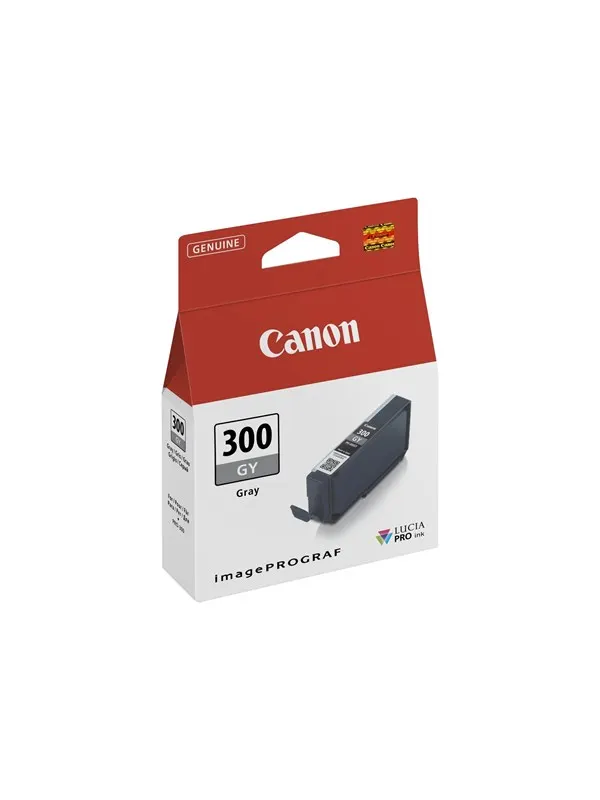 Canon PFI-300 / 4200C001 Grey