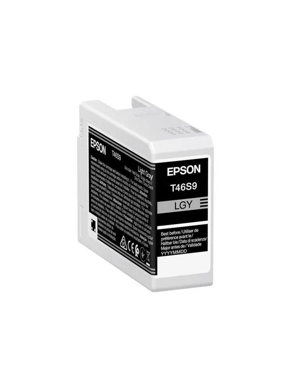 Epson Singlepack Light Gray T46S9 UltraChrome Pro