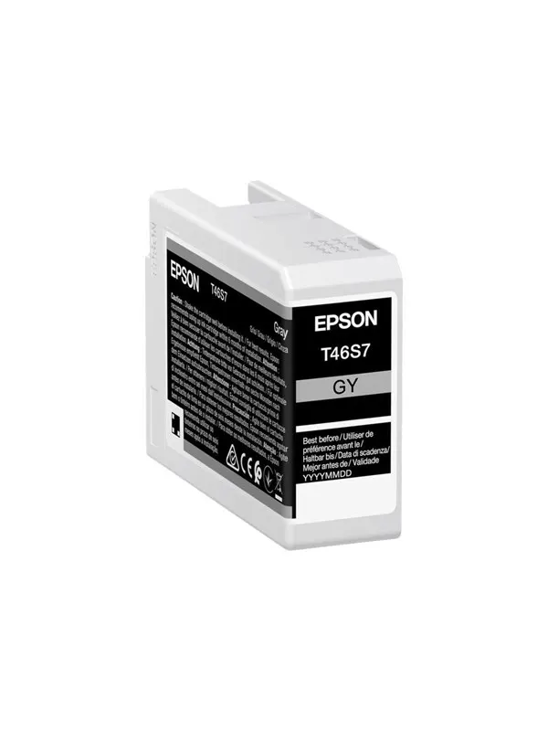 Epson Singlepack Gray T46S7 UltraChrome Pro 10 ink
