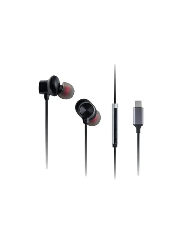 Panasonic RP-TCM225 - earphones with mic - USB-C