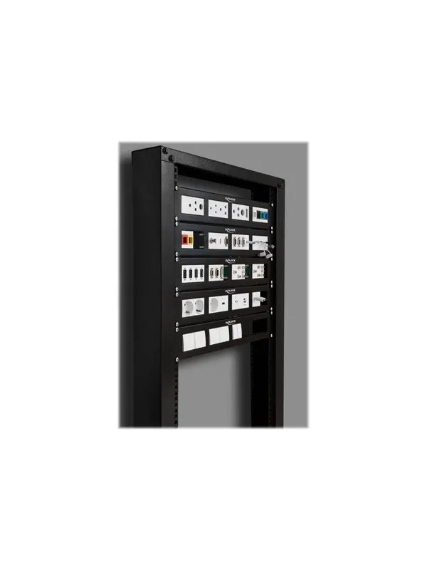 DeLOCK Patch Panel - 2U - 19"