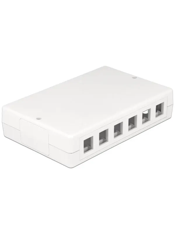 DeLOCK Keystone Surface Mounted Box 12-Port