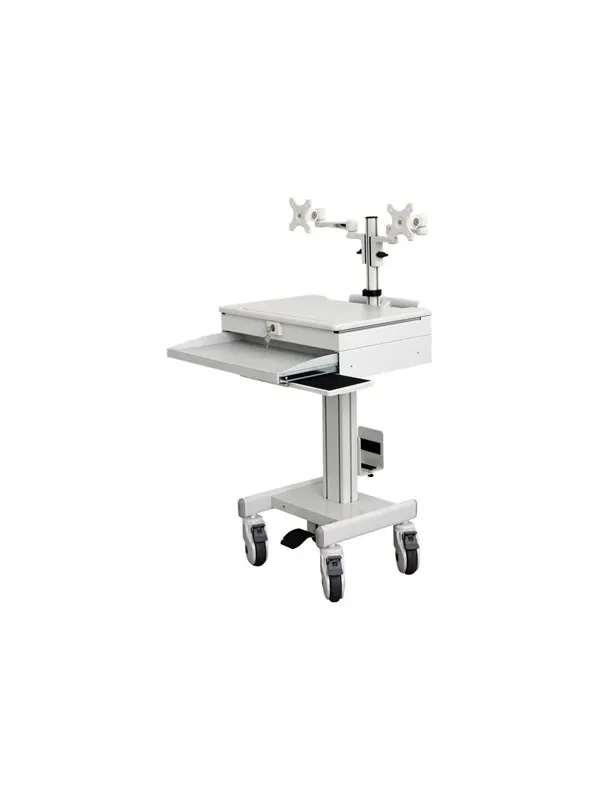 Roline cart - for 2 LCD displays / keyboard / mouse / PC / notebook - Max - recommended for