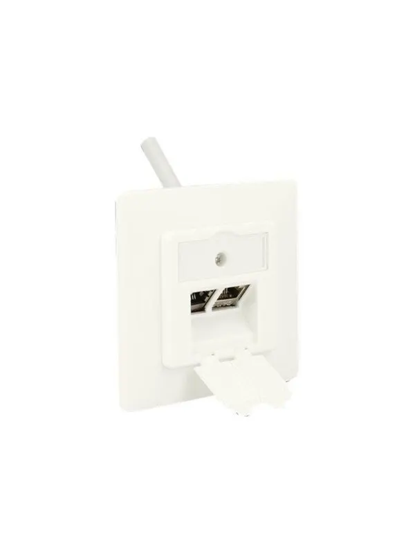 DeLOCK Keystone Wall Outlet - 2 Port Compact