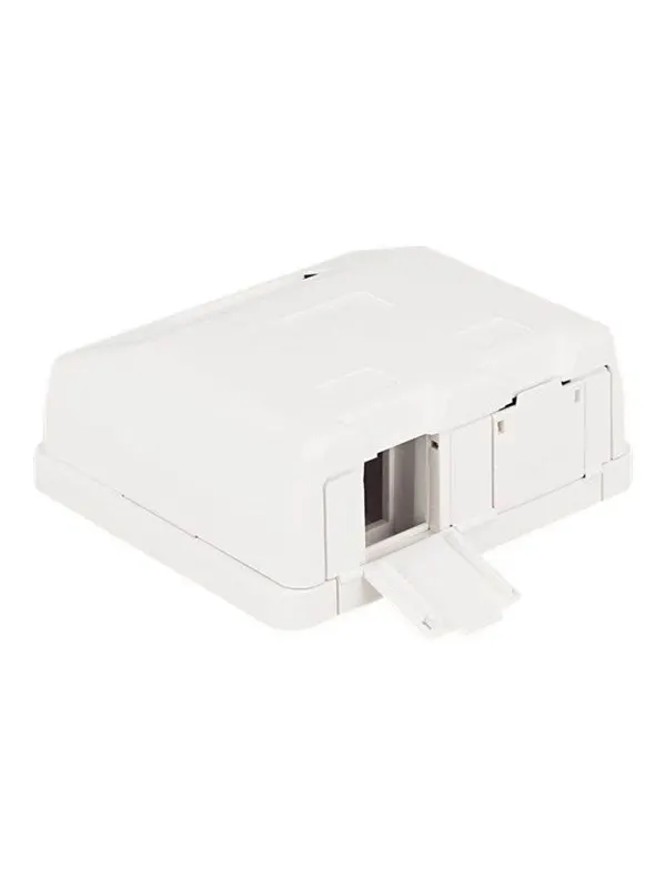 DeLOCK Keystone Surface Mounted Box