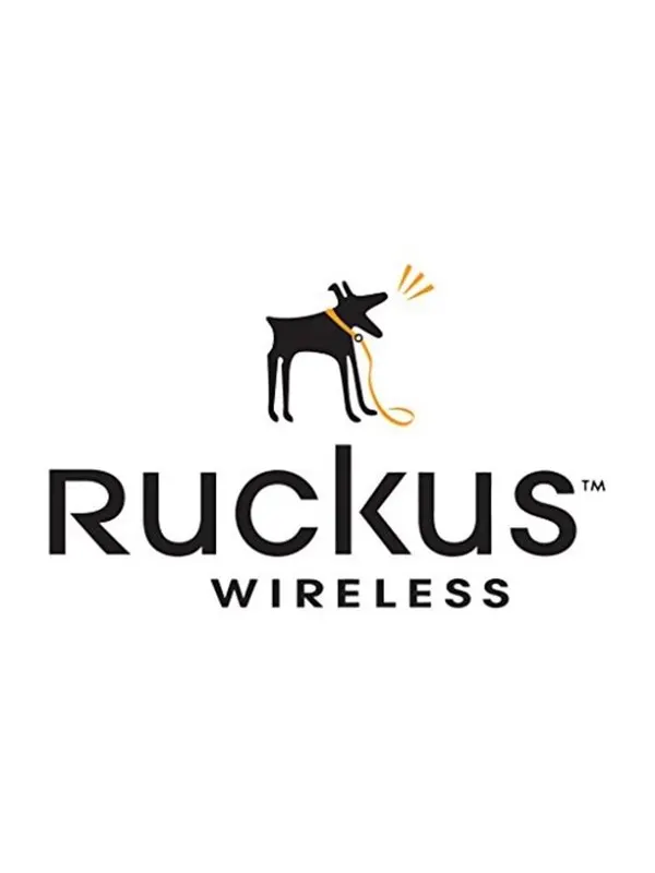 Ruckus Wireless Ruckus FlexMaster - upgrade licence - 250 access points