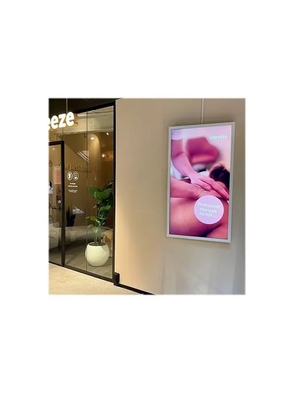 HI-ND Wall Casing PROTECT 32" Portrait - mounting kit - for LCD display - white RAL 9003