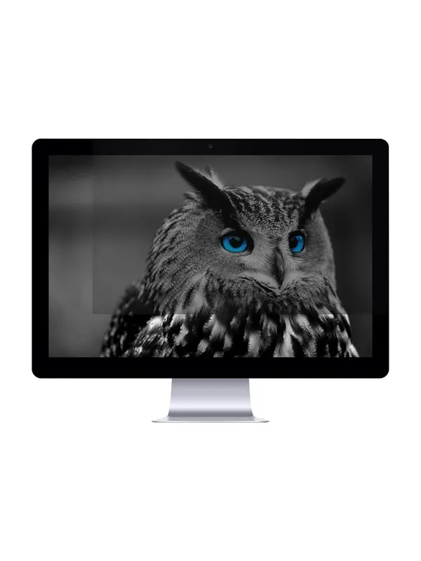 Natec OWL