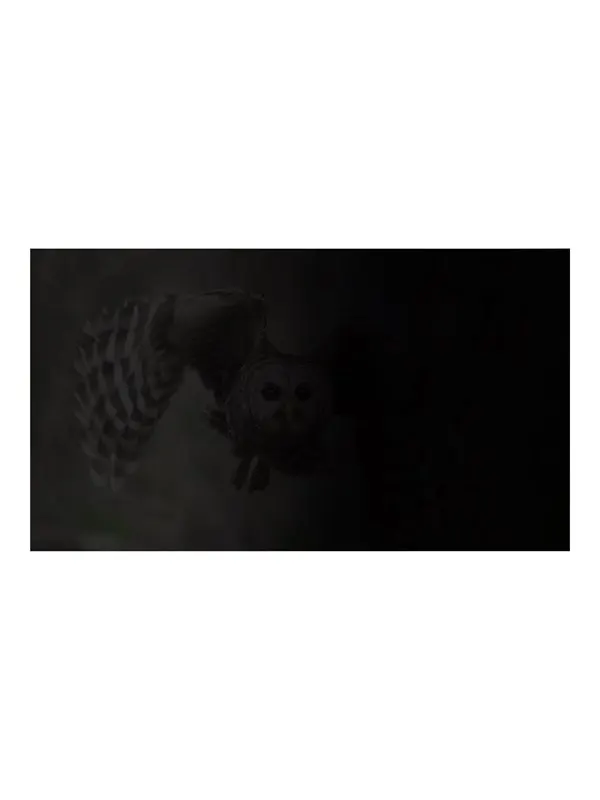 Natec OWL notebook privacy filter