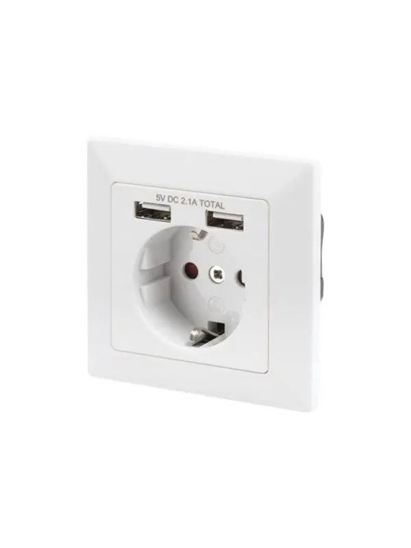 DIGITUS Socket with 2 USB ports