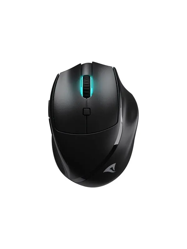 Sharkoon OfficePal M25W - mouse - 2.4 GHz USB - black - Mouse - Optic - 6 knappar - Svart