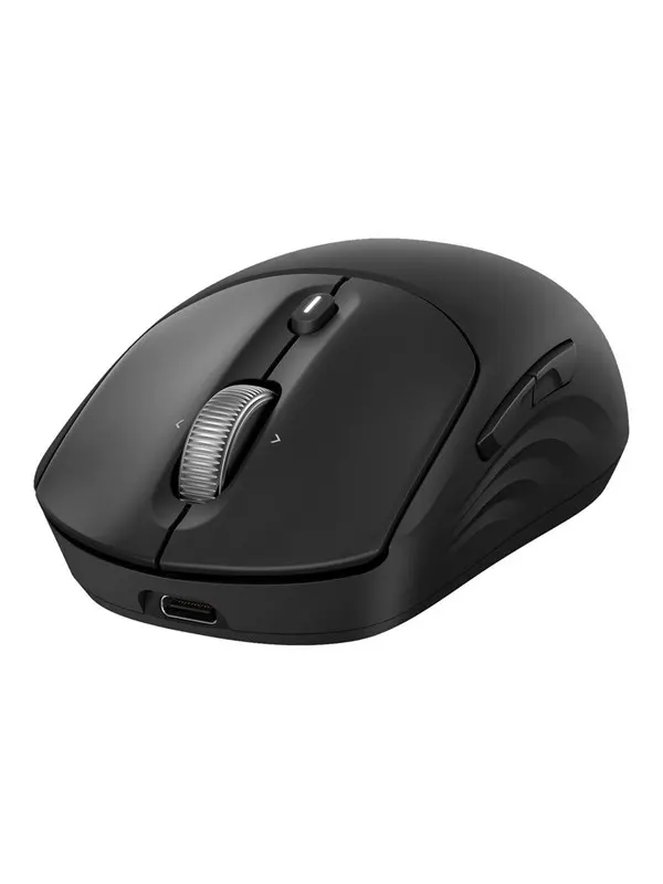 HP 705 - Mouse