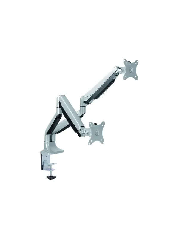 Roline VALUE mounting kit - adjustable arm - for 2 LCD displays - Max - recommended for