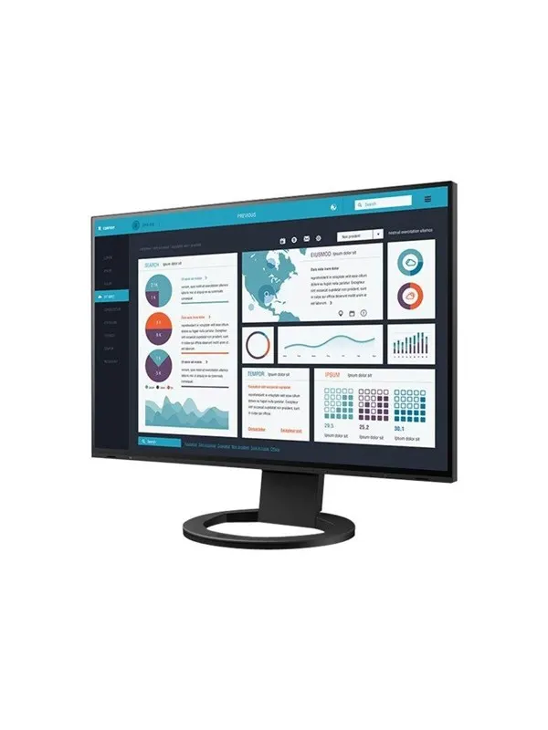24,1" EIZO FlexScan EV2495-FBK - Head Only - LED monitor - 24.1"