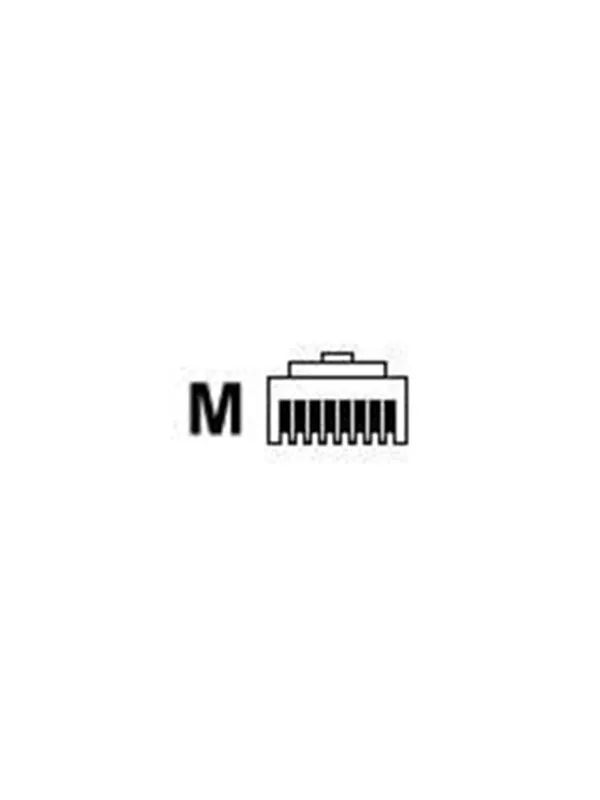 DIGITUS ASSMANN network connector - transparent - Genomskinlig