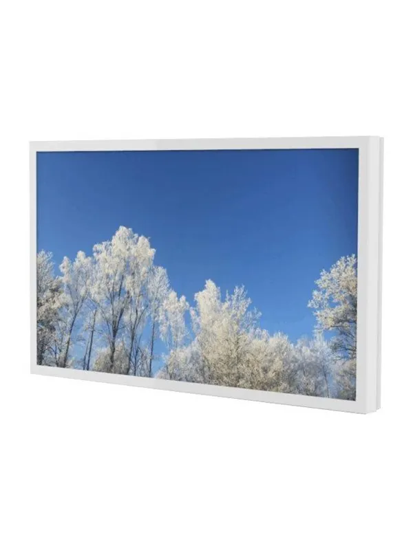 HI-ND Wall Casing PROTECT 75" Landscape - mounting kit - for LCD display - Max - recommended for 75"