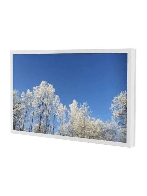 HI-ND Wall Casing EASY 43" Landscape - mounting kit - for LCD display - Max 30 kg - recommended for 43"