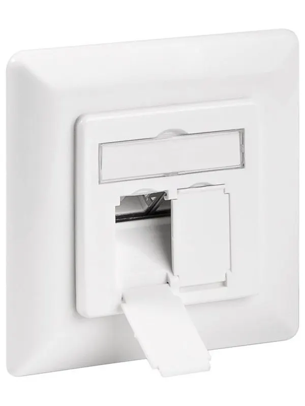 Pro CAT 6a wall plate flush mounting white - 2x RJ45 - Vit