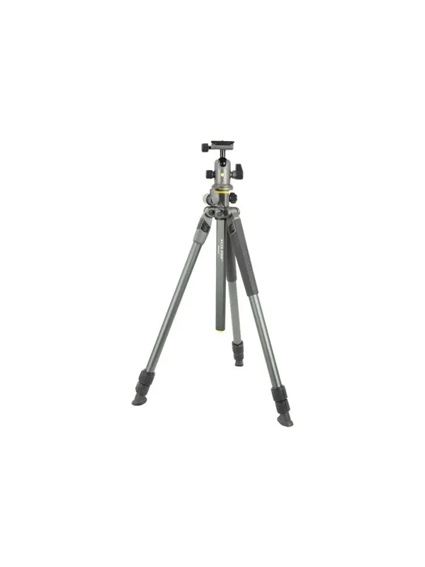 Vanguard Alta Pro 2+ 263AB100