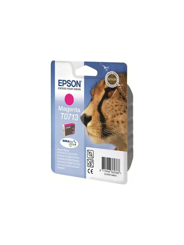 Epson T0713