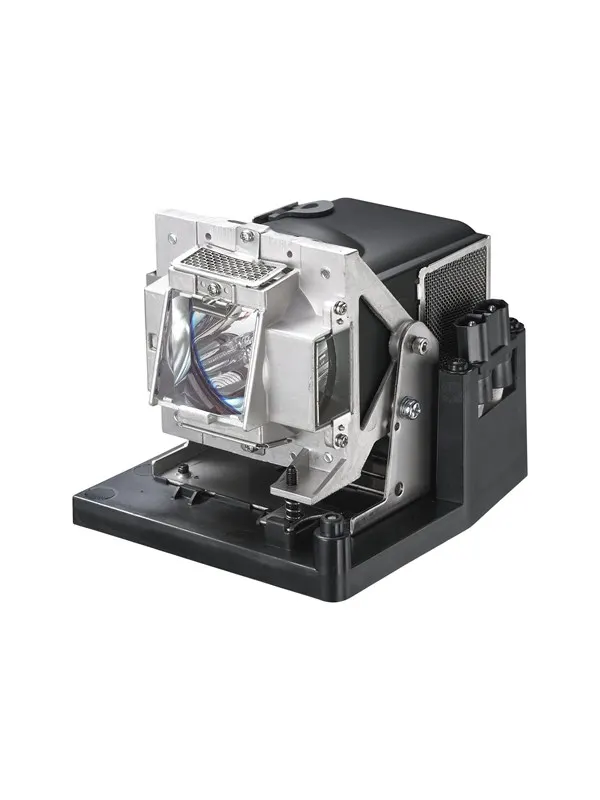 Vivitek D795WT - projector lamp