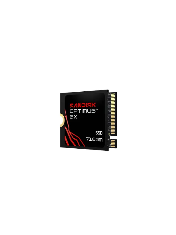 SANDISK Optimus GX 7100M SSD - 2TB - PCIe 4.0 - M.2 2230