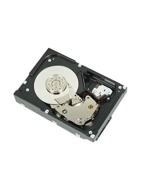 Dell - Customer Kit - hard drive - 12 TB - 512e ISE - SAS 12Gb/s - 12TB - Hårddisk - 161-BBFN - Serial Attached SCSI 3 - 3,5"