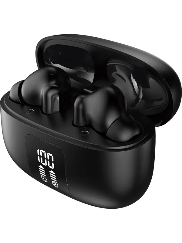 Verbatim TruSound Hybrid ANC & ENC - Black