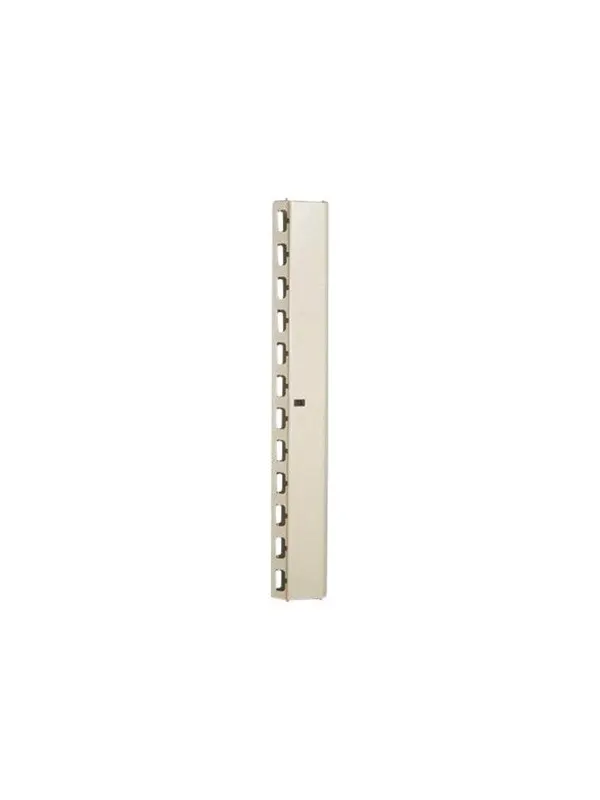 DIGITUS Professional Line DN-19 ORG-42U - rack cable management panel - 42U