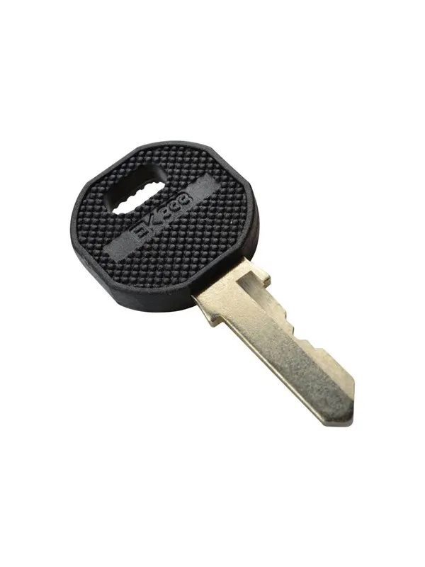 DIGITUS Key for Unique and SOHO Pro Series Cabinets