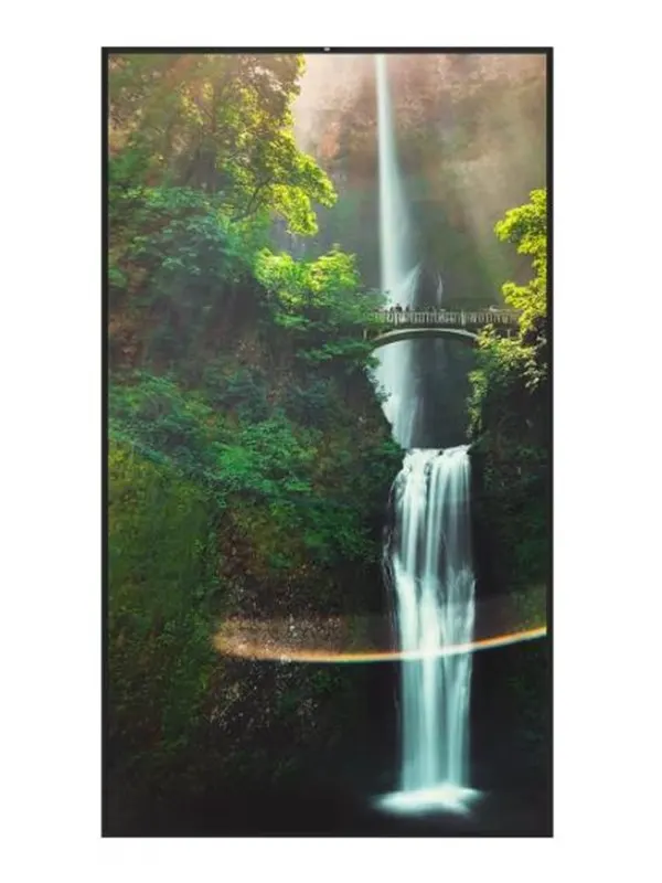 Hisense 55WH80F Signage Display 55"