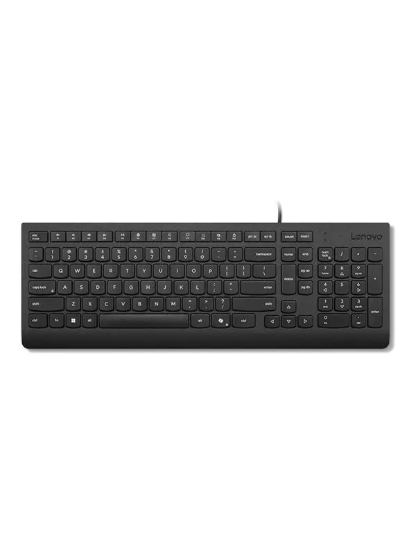 Lenovo Essential - keyboard - QWERTY - US English - black Input Device - Tangentbord - Engelska (US) - Svart
