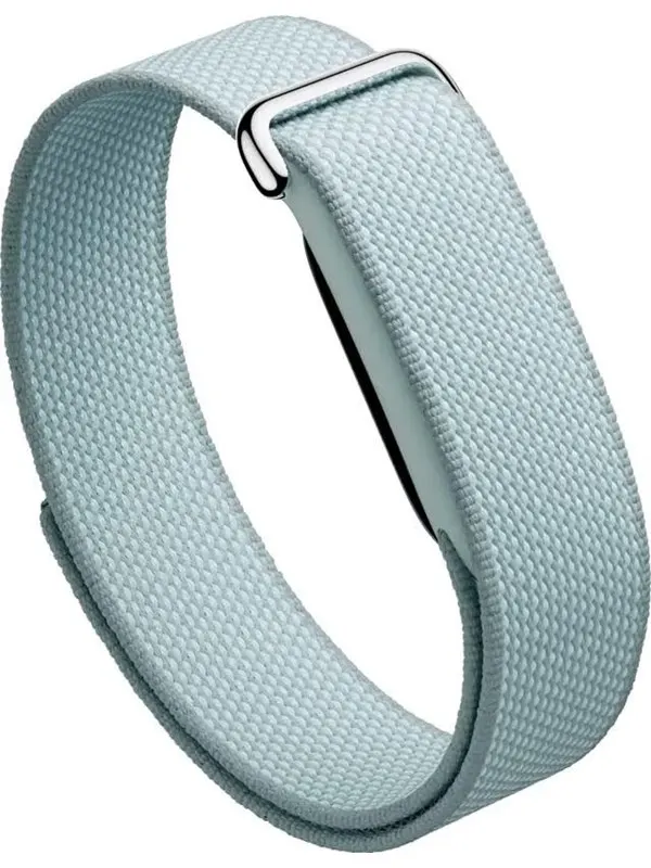 Google Fitbit Air - Fog