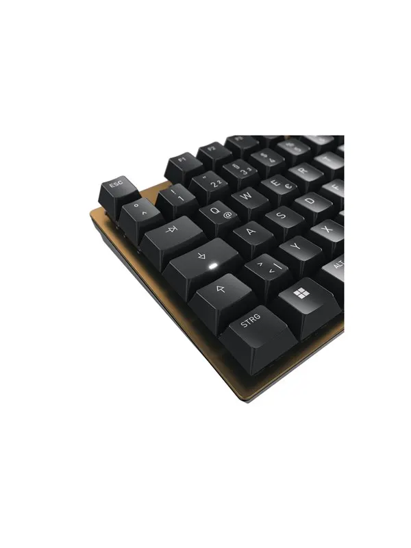 Cherry KC 200 MX - Tangentbord - Engelska - Brun