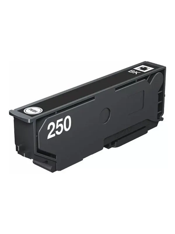 Epson 250 - black - original - ink cartridge