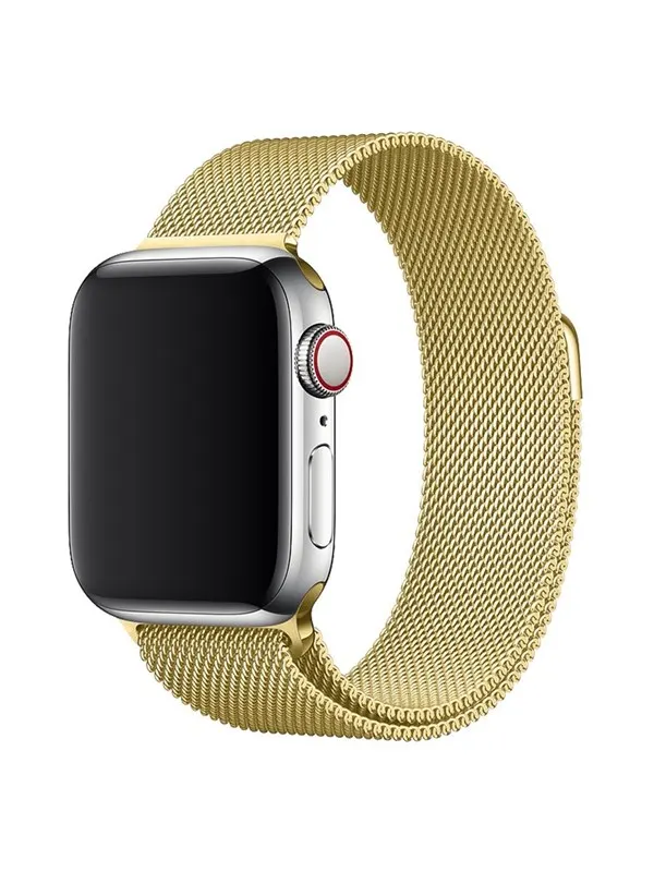 Lippa Apple Watch Stainless Steel 38/40/41 - Gold