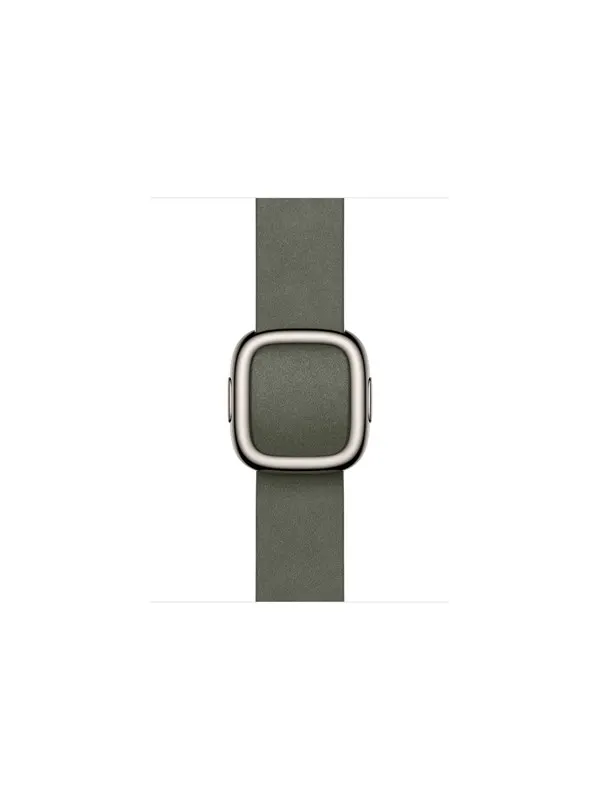 Apple 42mm Sage Gray Modern Buckle - Large