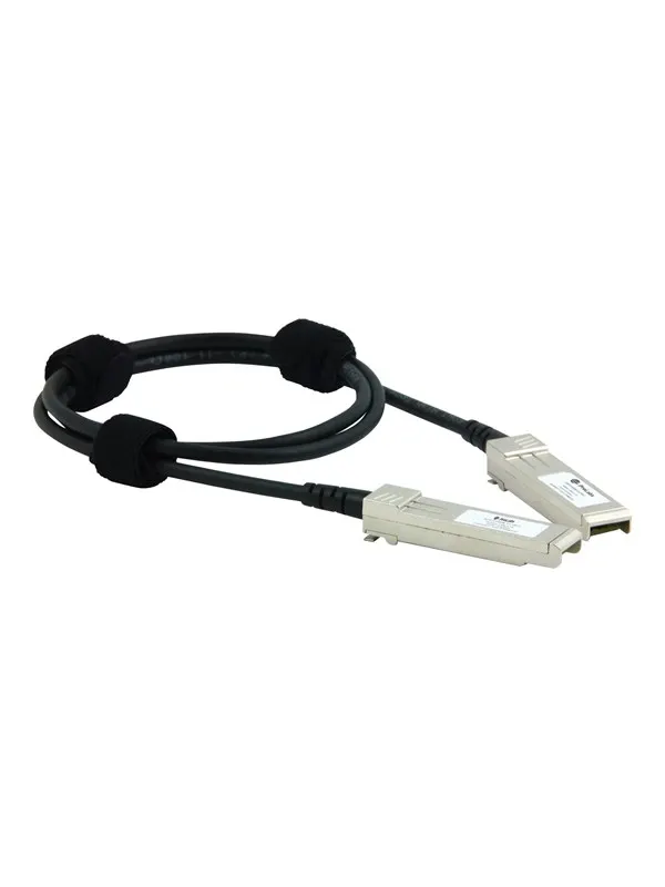 Prolabs 10GBase direct attach cable - 1 m - 1m
