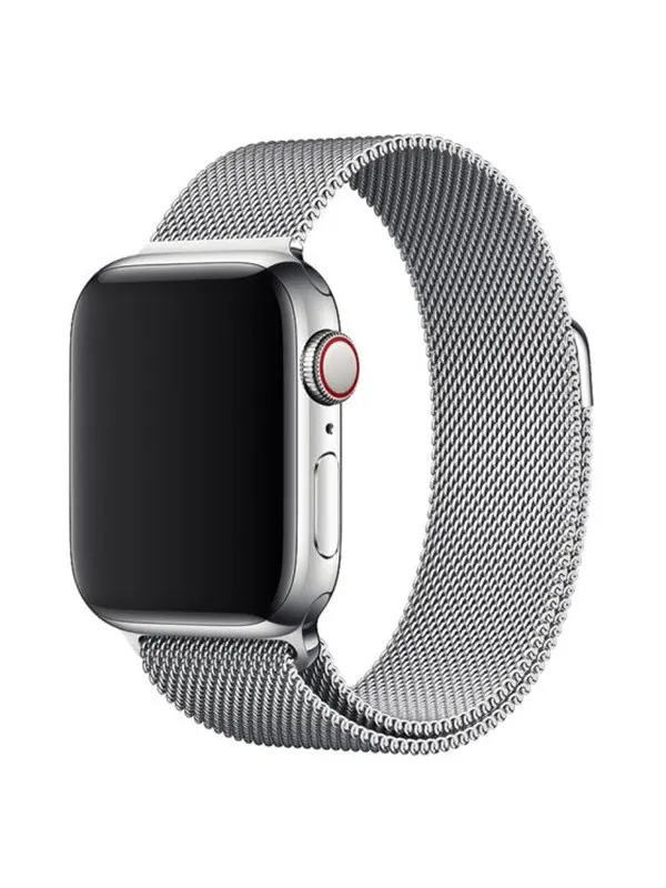 Lippa Apple Watch Stainless Steel 38/40/41 - Silver