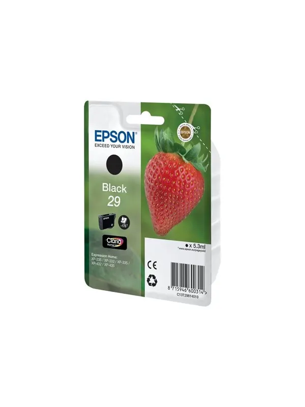 Epson 29 Black Ink