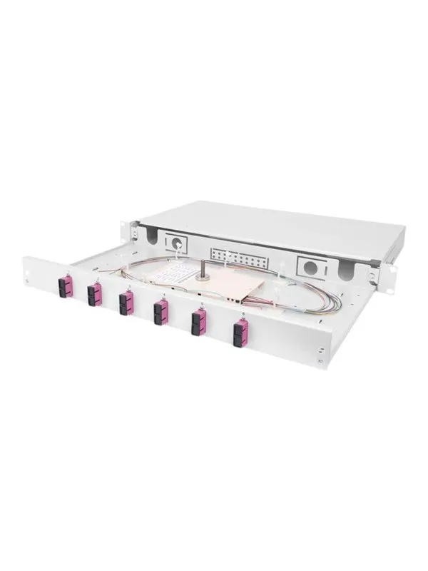 DIGITUS Professional DN-96320-4 - fibre-optic splice box - 1U - 19"